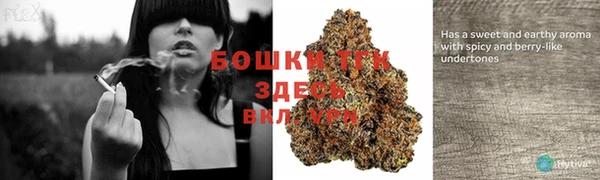 прущий лед Алексин