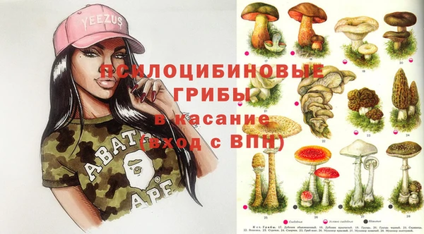 прущий лед Алексин