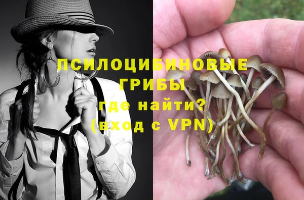круглые Алзамай